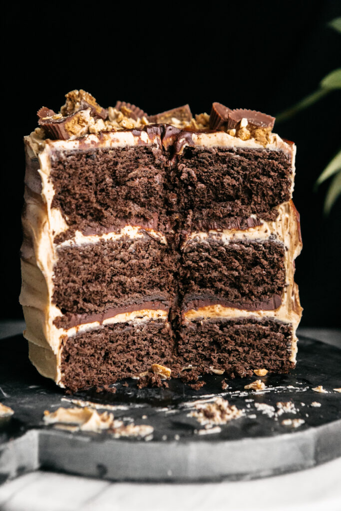 Chocolate Cake with Peanut Butter Frosting Cut to show the inside 