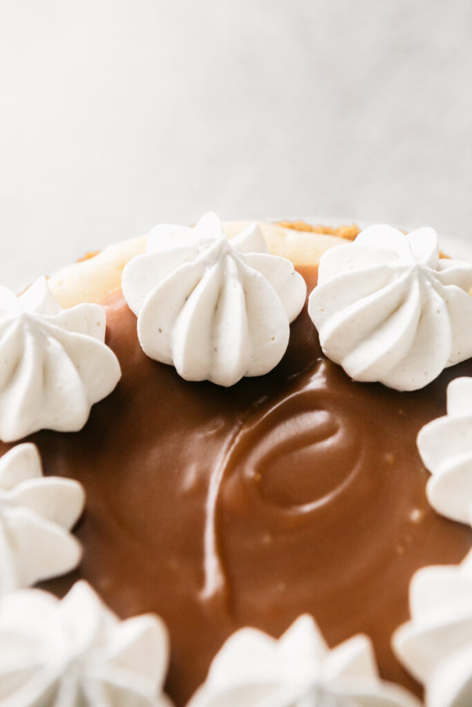Closeup of 6-Inch Vanilla Bean Cheesecake