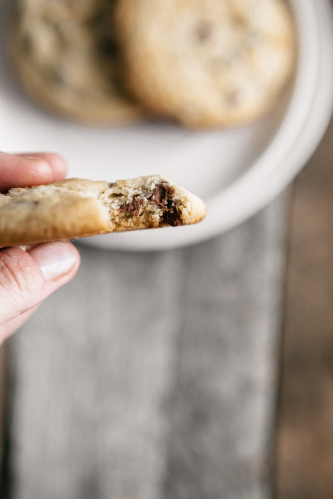 chocolate chip cookie bite