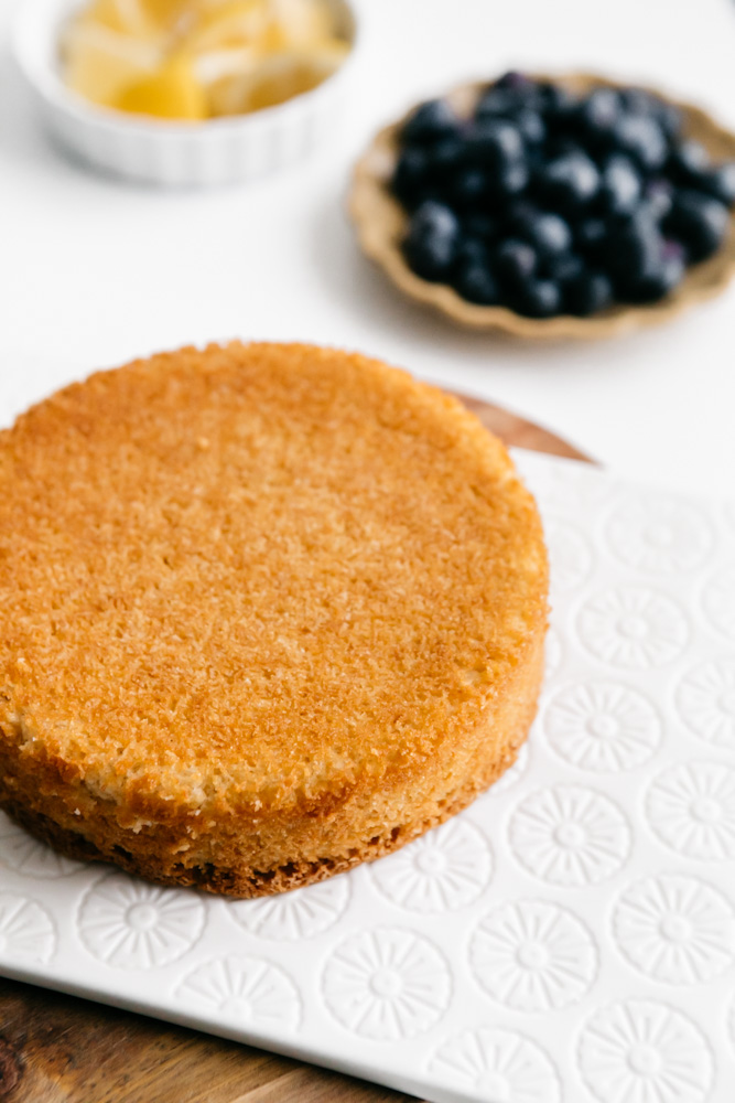 Cake on a white plate with blueberries in the background  