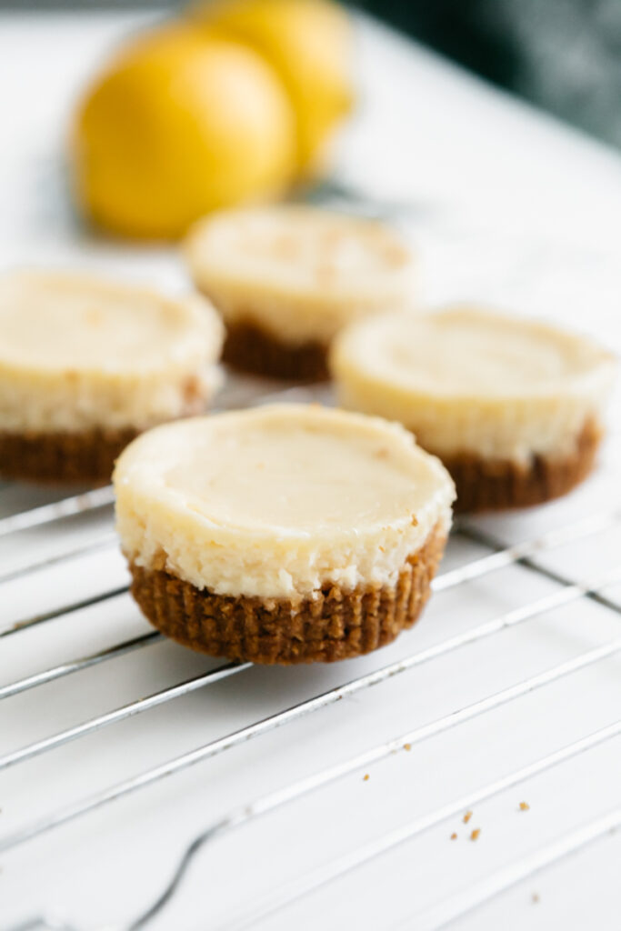 Mini cheesecakes 