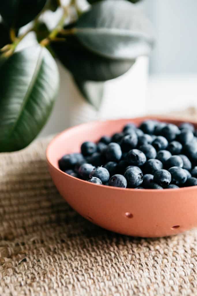 A bowl of blueberries 