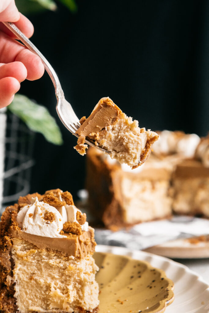 A bite of cheesecake on a fork 