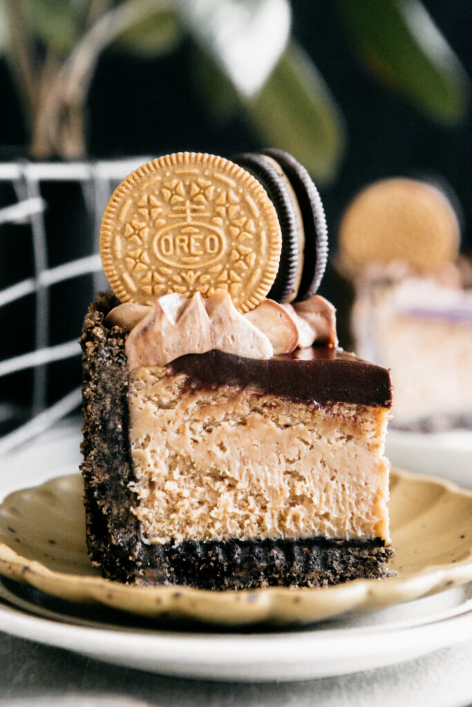 Peanut Butter Chocolate Cheesecake