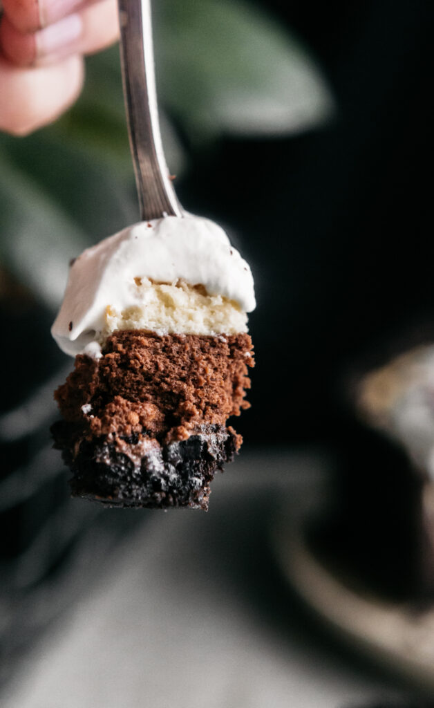 A bite of cheesecake on a fork 