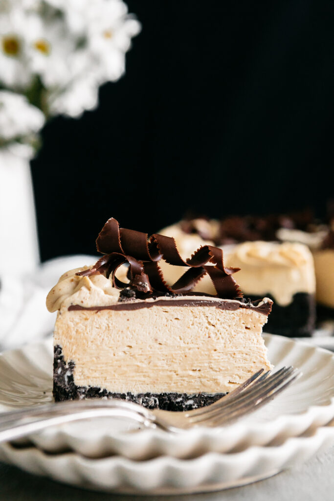 A slice of no bake Cheescake 