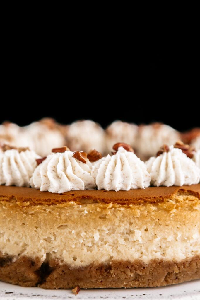 Browned Butter Pecan Cheesecake Side view 