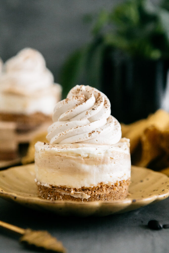 No-Bake Espresso Swirl Cheesecake