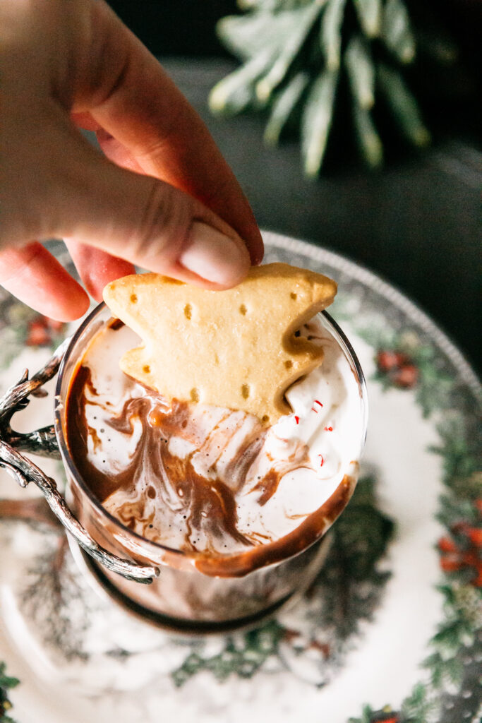 Peppermint French Hot Chocolate